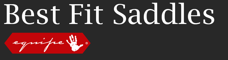 Best Fit Saddles